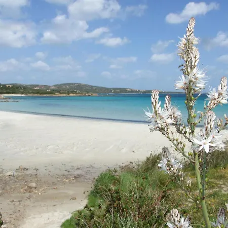 Pietra By Interhome Hébergement de vacances Pittulongu